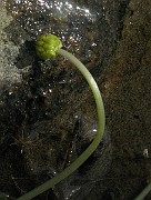 IMG_4637