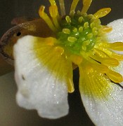 IMG_4644