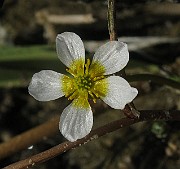 IMG_4645