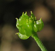 IMG_2095
