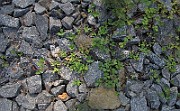 IMG_9190