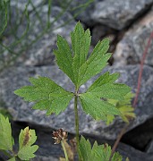 IMG_9191