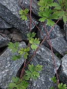 IMG_9194