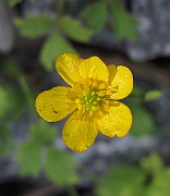 IMG_9195