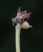 IMG_9205