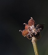 IMG_9206