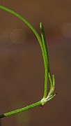IMG_0019