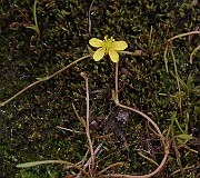 IMG_0603