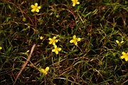 IMG_1074