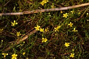 IMG_1075