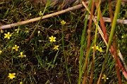 IMG_1076