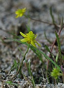 IMG_1980