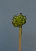 IMG_1985