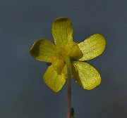 IMG_1991