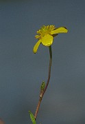 IMG_1992