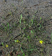 IMG_1994
