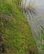 IMG_5255