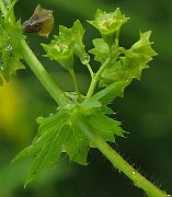 IMG_6609b