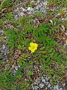 IMG_6352