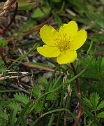 IMG_6356
