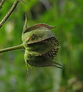 IMG_3576