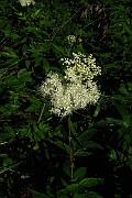 IMG_2504