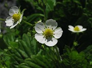IMG_6880