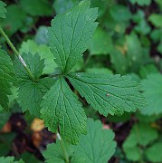 IMG_3014