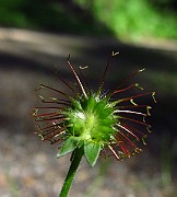 IMG_3610