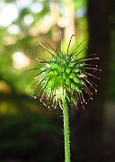 IMG_3614