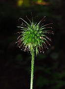 IMG_3615