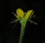 IMG_3621