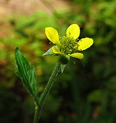 IMG_3623