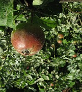 IMG_4773