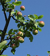 IMG_4780