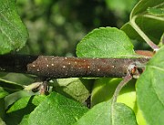 IMG_4783