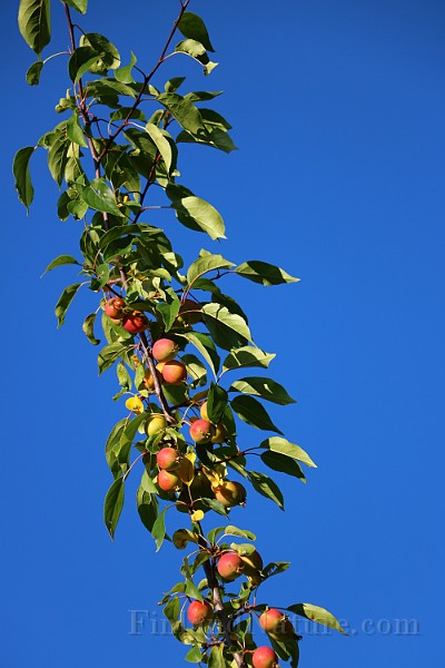 IMG_7069.JPG