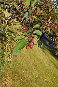IMG_7053