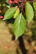 IMG_7056
