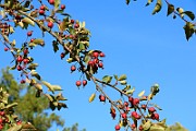 IMG_7059