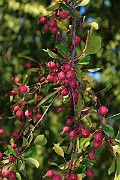 IMG_7060