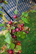 IMG_7063