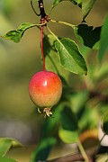 IMG_7066