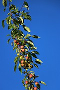 IMG_7069