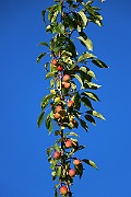 IMG_7070