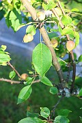 IMG_7072