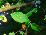 IMG_7073
