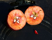 IMG_7101