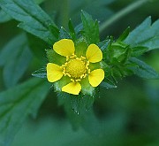 IMG_1325