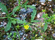 IMG_1329